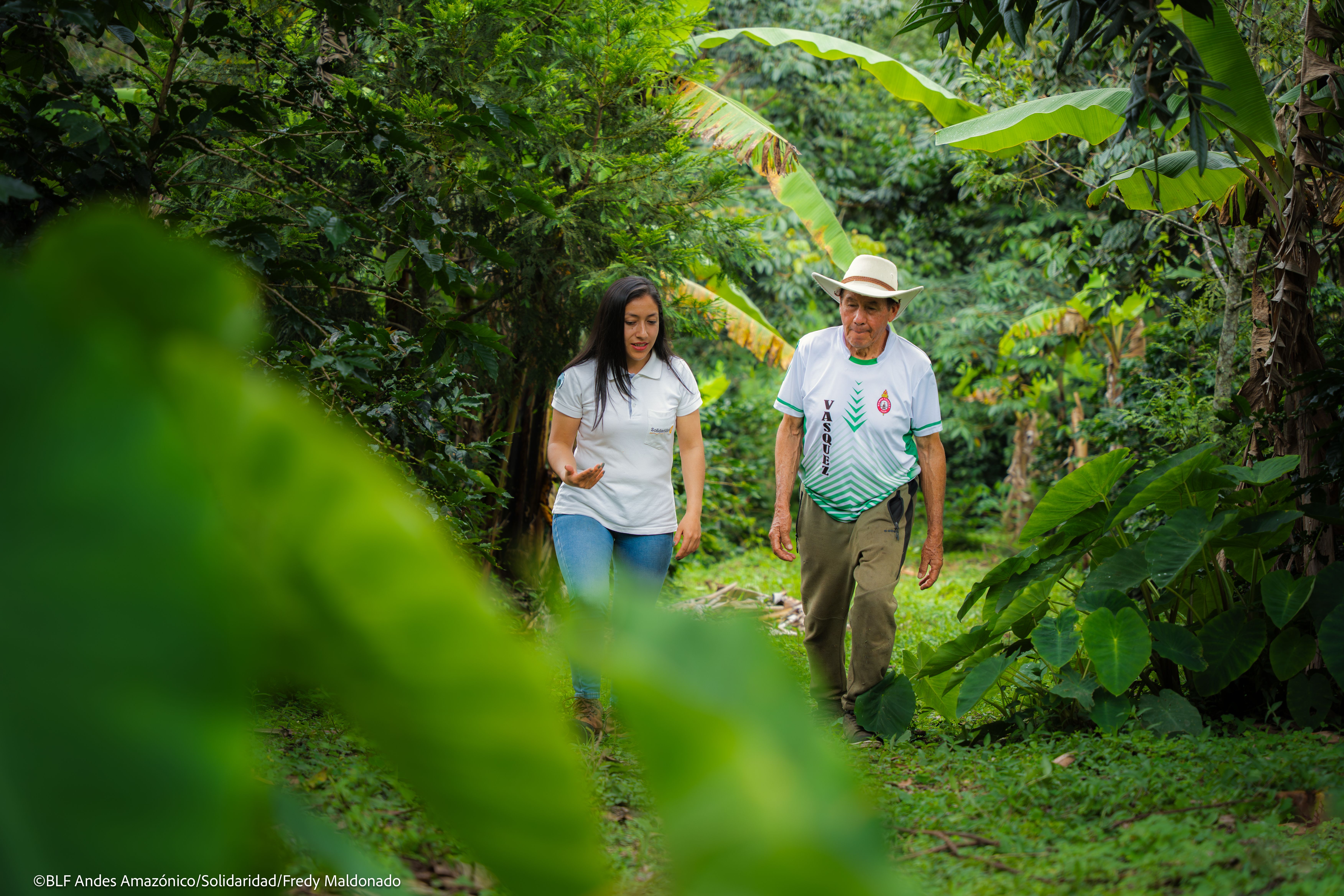 Café del Mar koppelt koffieverkoop aan impact en investeert €34.000 in boerenprojecten