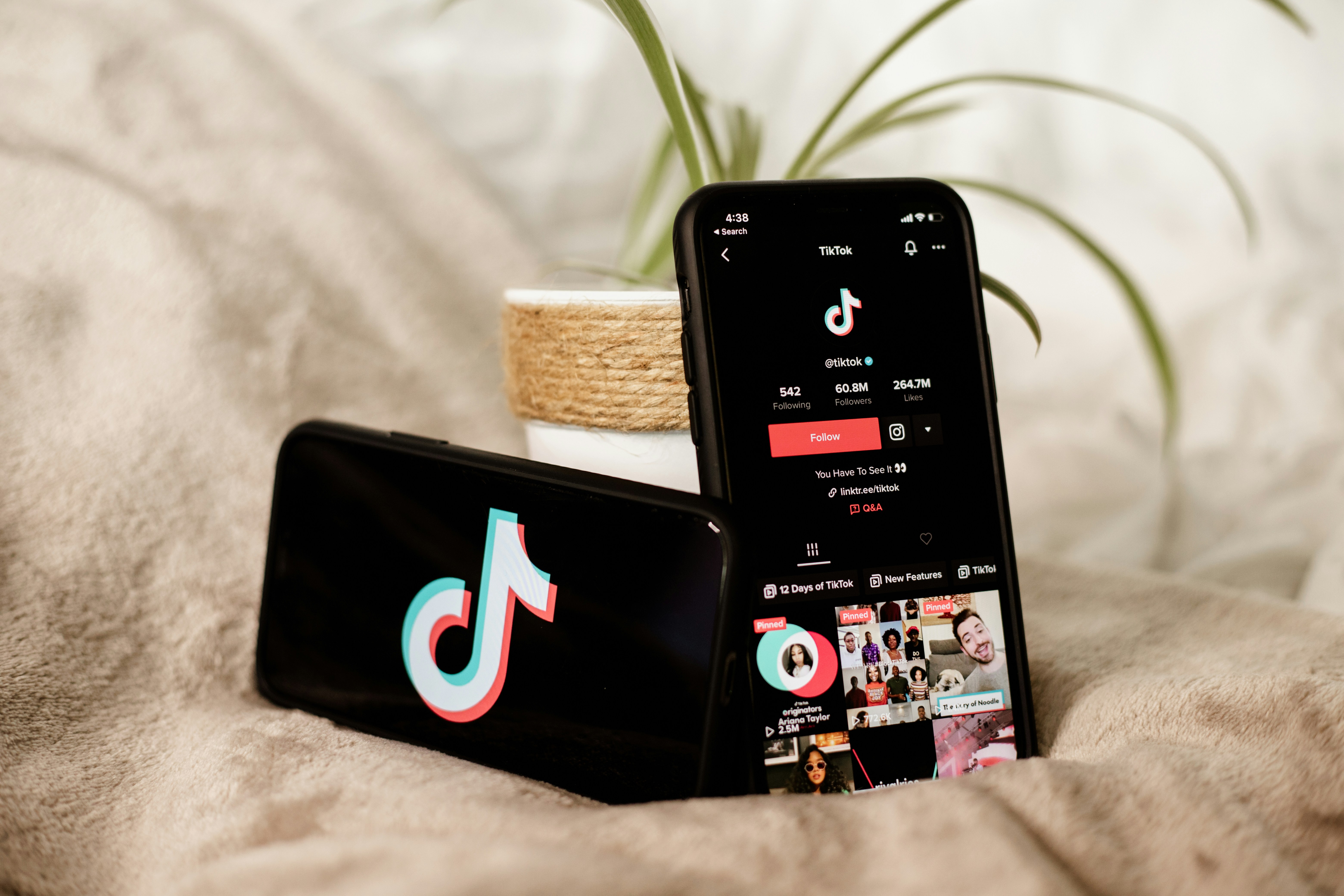 TikTok staat vol met nepadvertenties voor woningen