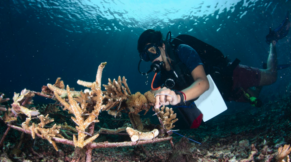 Blyde Benelux kiest Go Ocean als pro bono partner in jubileumjaar