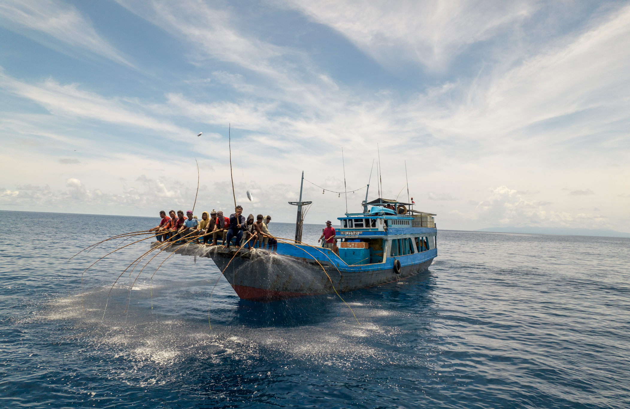 Fish Tales verdient derde nominatie Coolest Dutch Brands 2026