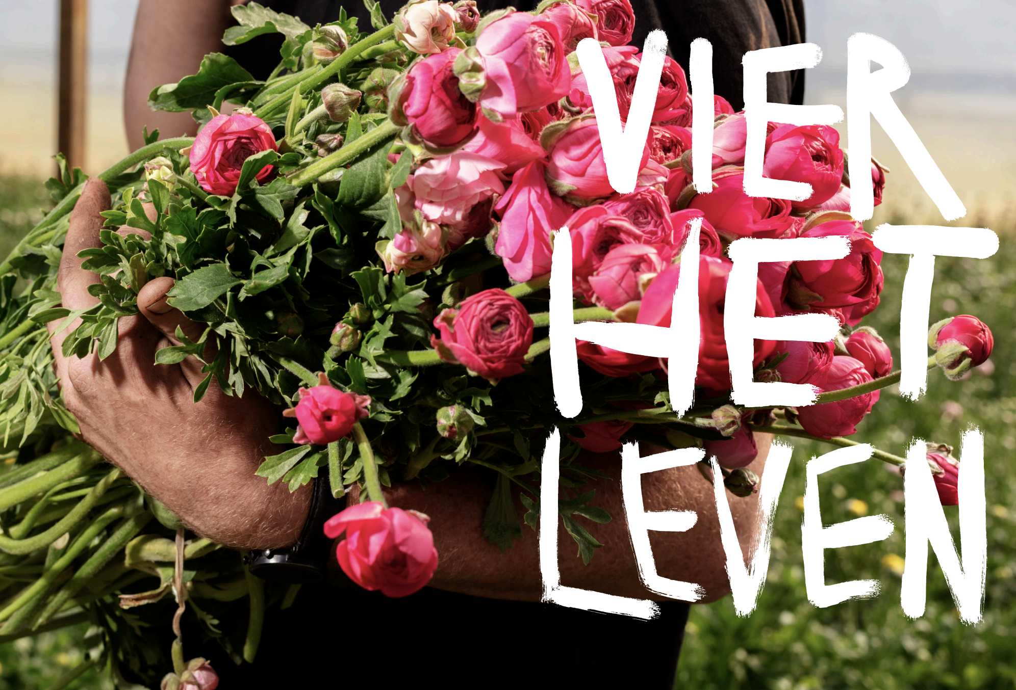 Wilderful haalt biologische bloemen uit de niche