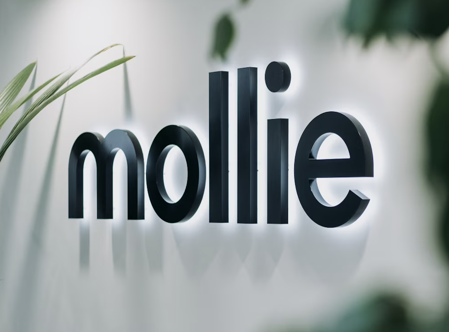 Mollie versnelt omzetgroei naar 29 procent in 2025