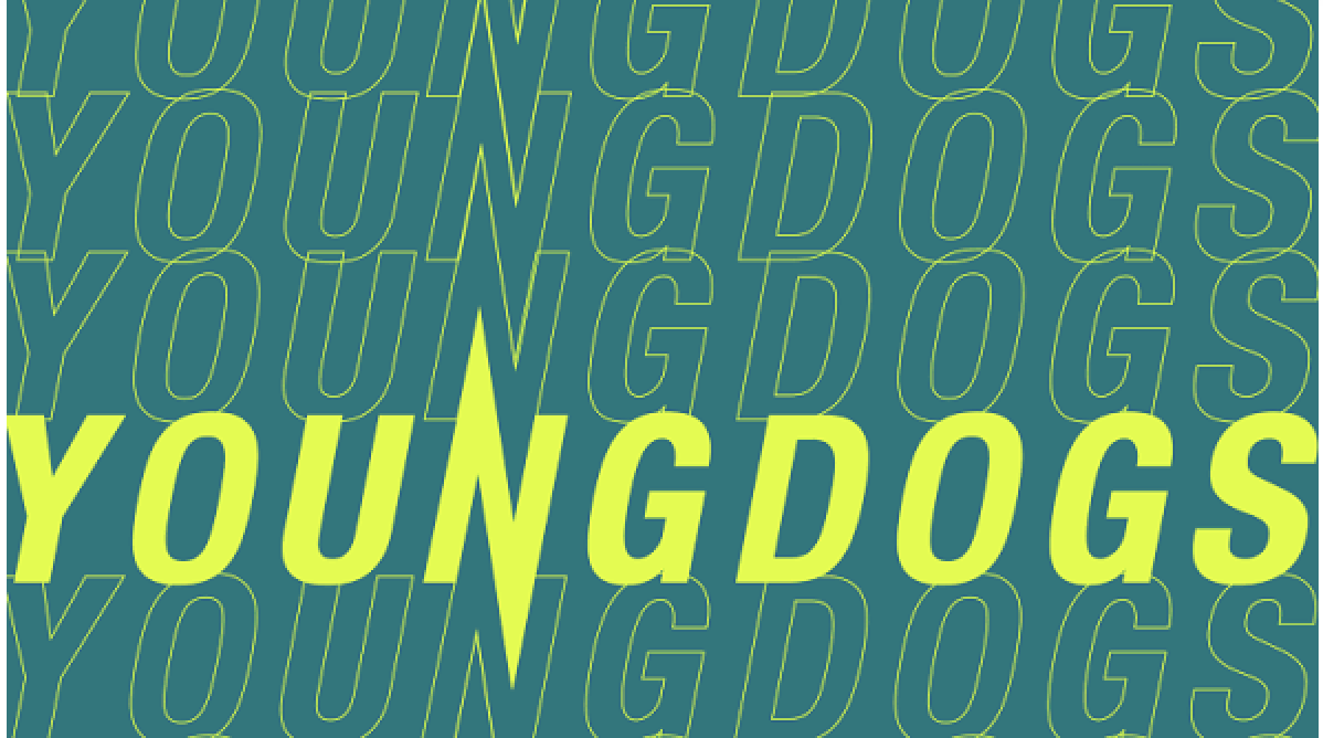 YoungDogs (JongeHonden) exists 35 years and is ready for their anniversary season