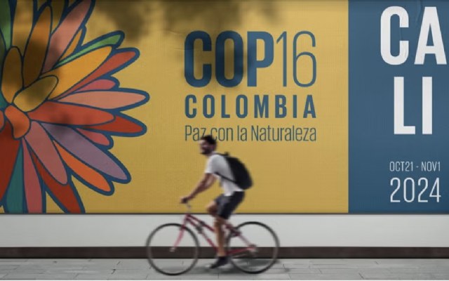 Dit was het Nederlandse aandeel van de natuurtop in Colombia
