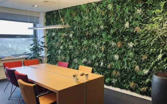 Kunsthaagvoordeel.nl: marktleider in onderhoudsvrij groen