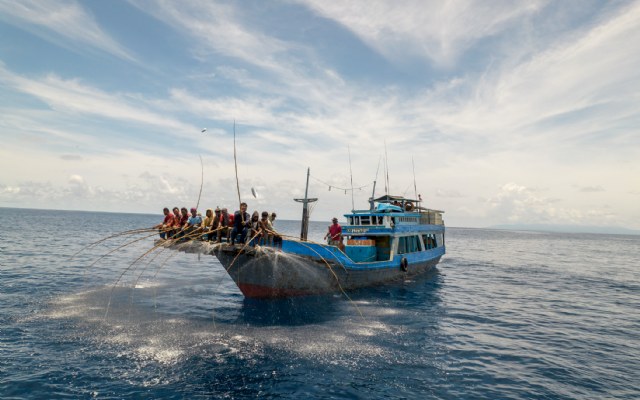 Fish Tales verdient derde nominatie Coolest Dutch Brands 2026