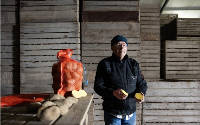 Nationale Aardappelweek moet miljoenen kilo’s redden