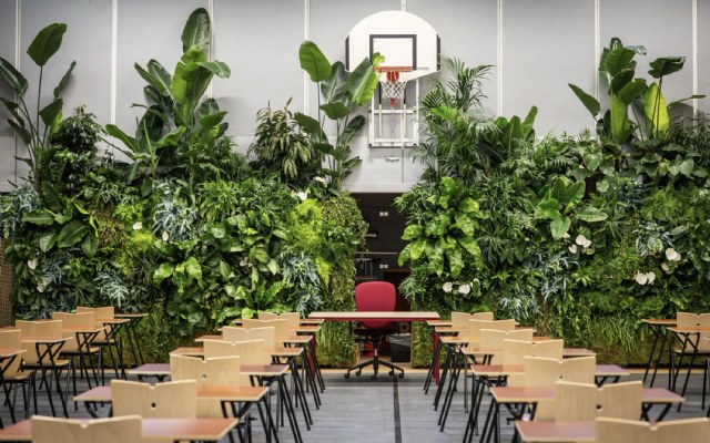 Plants & Flowers Holland vergroent examenzalen