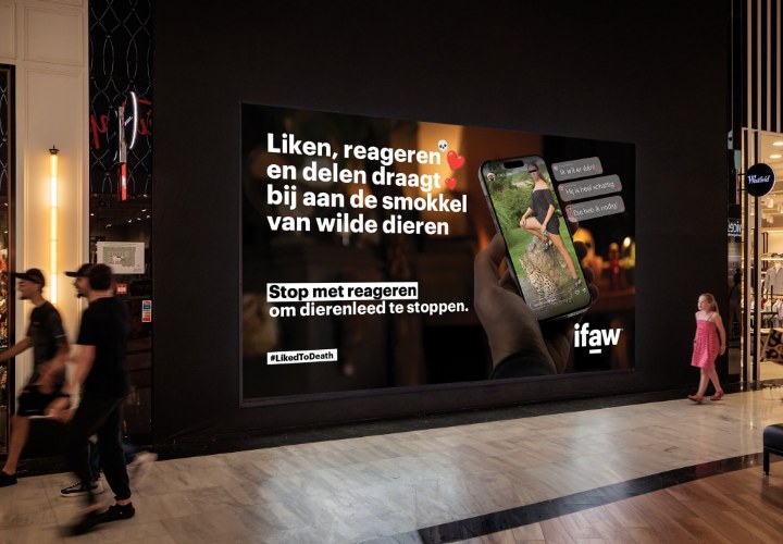 IFAW-campagne op digitale schermen in zes Nederlandse steden