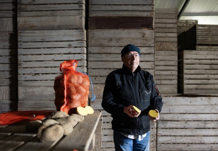 Nationale Aardappelweek moet miljoenen kilo’s redden