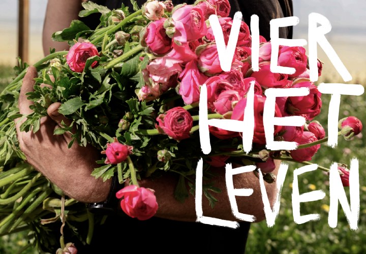 Wilderful haalt biologische bloemen uit de niche