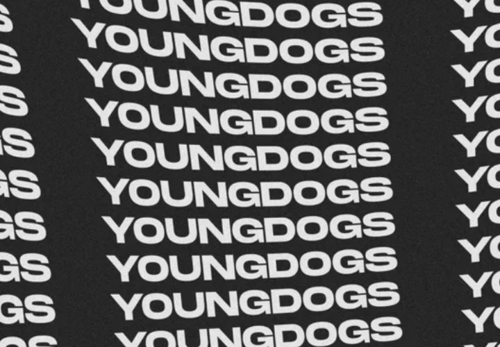 'Who Let The Dogs In?': YoungDogs make their Cannes Lions Festival comeback