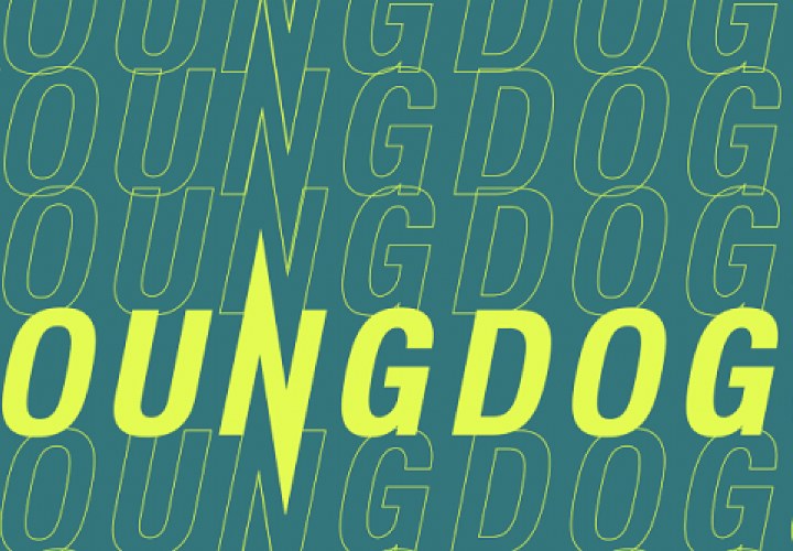 YoungDogs (JongeHonden) exists 35 years and is ready for their anniversary season