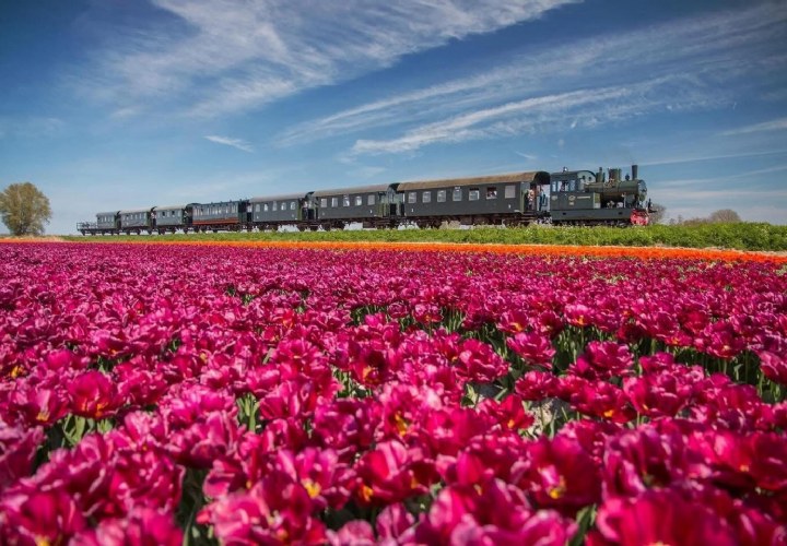 Vriendenloterij verlengt miljoenenbijdrage Nederlandse culturele organisaties