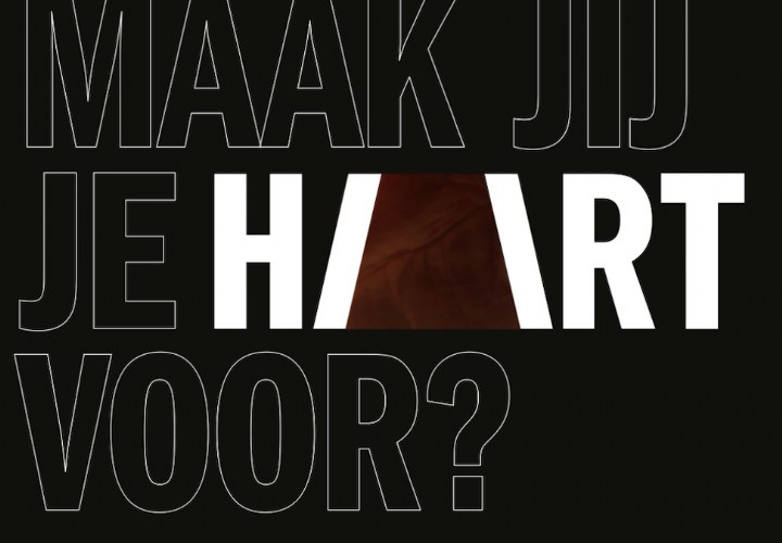 NOA Collective helpt organisaties hun merkhart te ontdekken met nieuw model